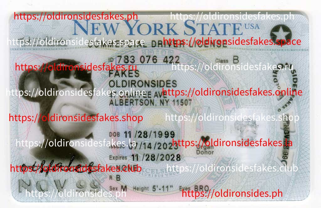 Best Fake ID Providers in New York - Best & Fast Fake ID Service